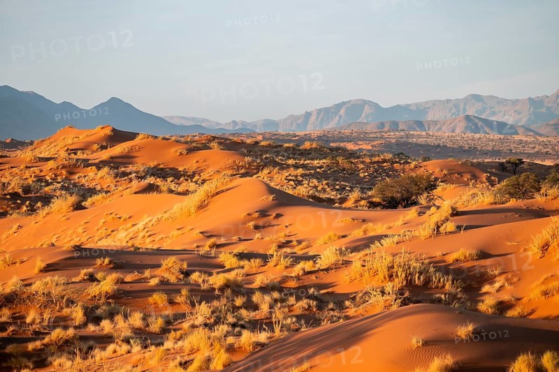 Sand dunes, landscape in the NamibRand nature reserve, in the background Naukluft Mountains, Namib Desert, Namibia