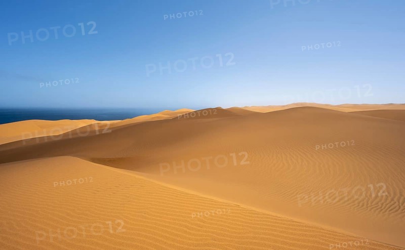 Sand dunes with wave patterns, dune sea, sandy desert, impressive desert landscape, Namib Naukluft Park, Namib desert, Namibia