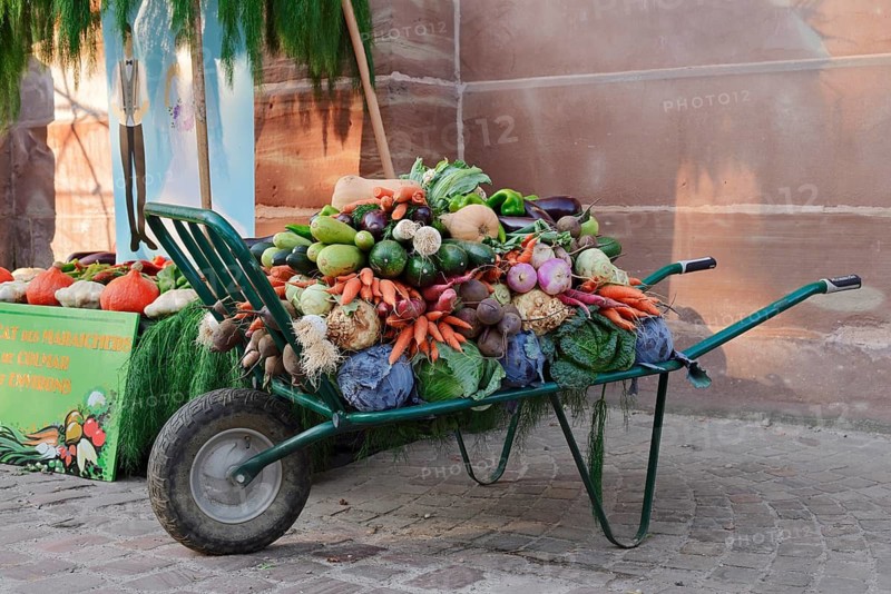 Wheelbarrow with various types of vegetables at a market stand, Colmar, Haut-Rhin, Alsace, Grand Est, France
