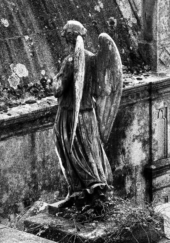 Cemitério da Lapa, Lapa Cemetery, European Cemetery Route, Association of Significant Cemeteries of Europe, abbreviated ASCE, Porto, Portugal