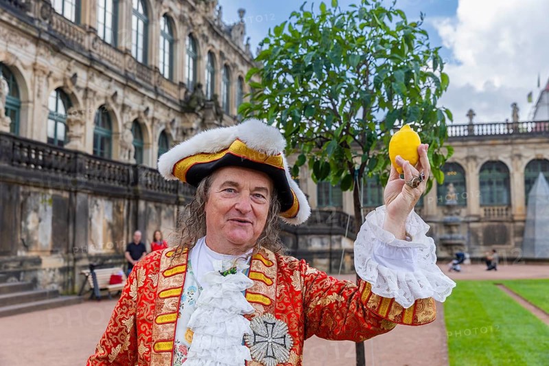 After a five-year break, orange trees are once again in Dresden's Zwingerhof. A total of 52 Italian bitter oranges are set up. Since 2017, the Zwingerhof has been home to the so-called bitter oranges again. The bitter orange trees were purchased in Italy and recall the history of the Zwinger as an orangery. Under Augustus the Strong, there were once 1, 700 orange trees in Dresden's Zwinger. The arched galleries served as winter quarters. Back then, being able to cultivate sensitive plants north of the Alps was considered a sign of power and wealth. Stephan Reher as August the Strong symbolically holding a lemon, Dresden, Saxony, Germany