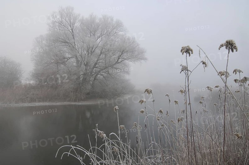 Hoarfrost on the Amper in Bavaria, Alpine foothills, hoarfrost, fog, winter, Ampermoos, Inning, Bavaria, Germany