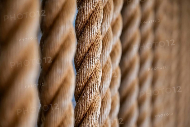 Close-up of several twisted thick ropes hanging close together, Strandingsmuseum St. George, North Sea coast, Thorsminde, Denmark