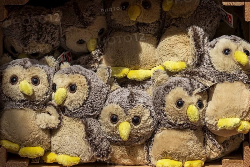 Stacked owls as stuffed animals, Nuremberg Zoo, Middle Franconia, Bavaria, Germany