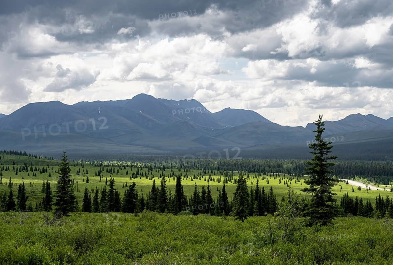 Taiga and tundra, mountain landscape of the Alaska Range with dramatic cloudy sky, Denali National Park, Alaska, USA