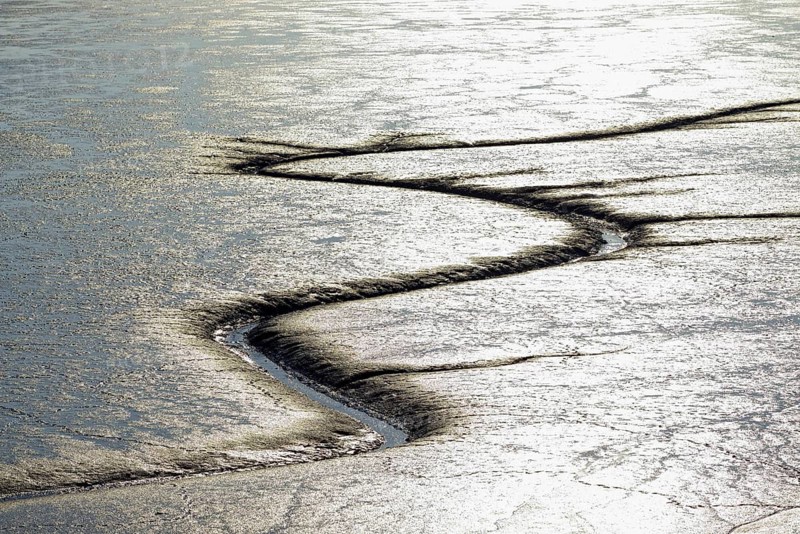 North Sea, a creeks through the Wadden Sea at low tide, Norddeich, Lower Saxony, Germany