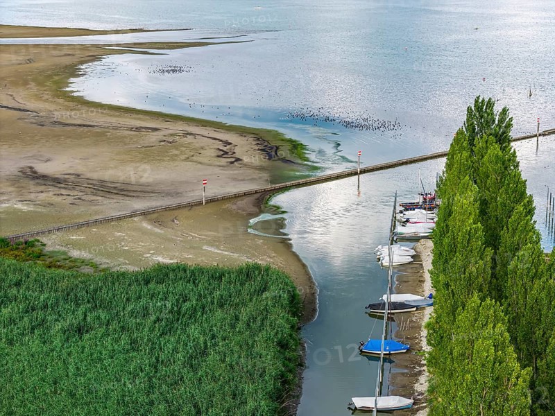 Lake Constance at the port of moss on Lake Constance with little water. The water level is at a low level due to the hot summer. moss is located on the shores of Lake Constance on the Höri peninsula. moss, Baden-Württemberg, Germany