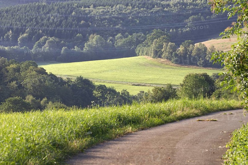Path with a view of a green meadow in the middle of a hilly landscape, Freudenberg, North Rhine-Westphalia, Siegerland