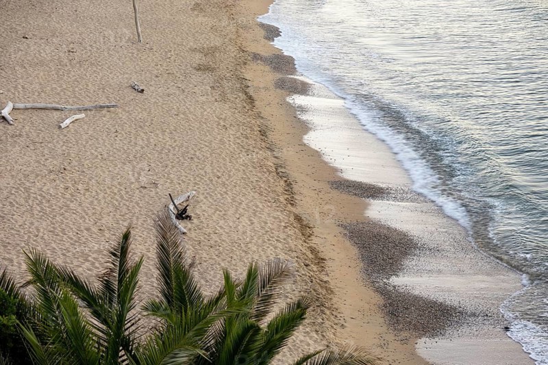 Elevated viewpoint over sandy shoreline with small waves, palm fronds, and driftwood in backlit early morning light, La Croix-Valmer, Sylvabelle Beach, Var, Provence-Alpes-Cote d'Azur, France