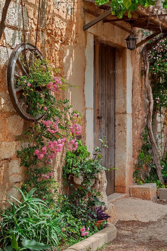 Mediterranean entrance with wooden wheel and blooming roses on a rustic stone wall in warm light, Majorca, Balearic Islands, Spain