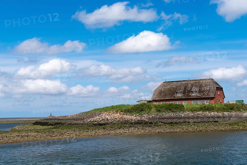 Hallig Langeneß in the Schleswig-Holstein Wadden Sea National Park, Rixwarft with National Park Info, thatched roof house, Halligen biosphere, North Frisia, spring, blue sky, Schleswig-Holstein, Germany