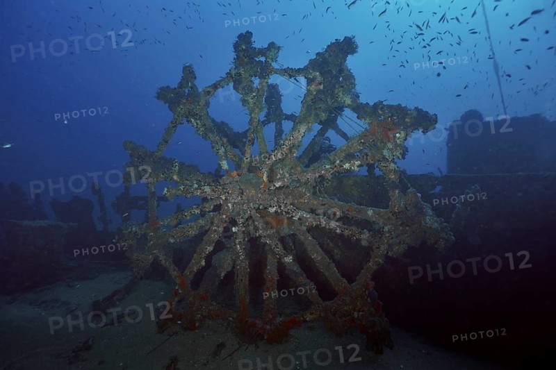 Underwater shot of a dilapidated paddle wheel of a shipwreck surrounded by fish, dive site Wreck Ville de Grasse, Hyères, Giens Peninsula, Mediterranean Sea, Porquerolles, Provence, Côte d'Azur, France