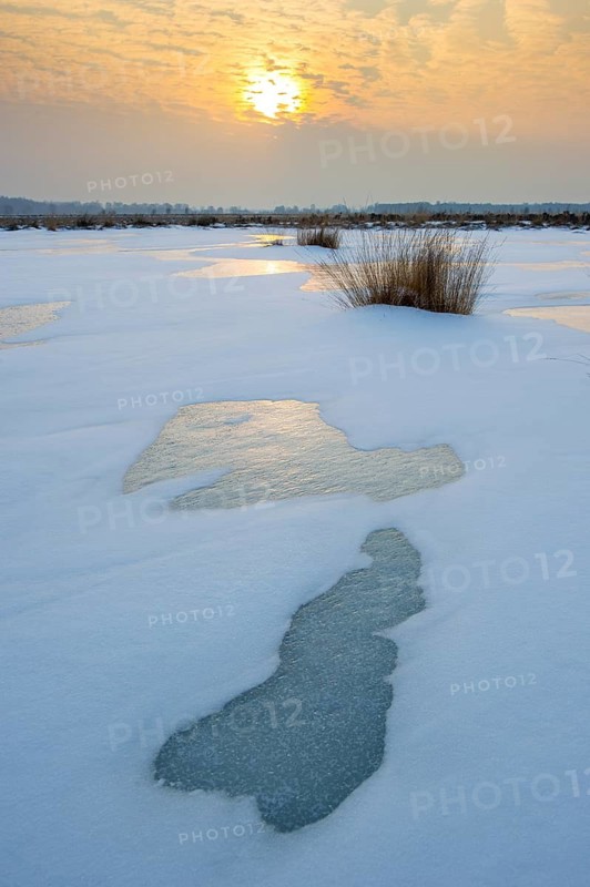 Winter landscape with snow and ice in Rehdener Geestmoor, Rehden, Lower Saxony, Germany