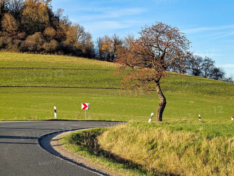 Country road through hilly, agricultural landscape, winding route, sunny autumn weather, Rühle, Bodenwerder, Rühler Switzerland, Vogler, Weser Hills, Lower Saxony, Germany