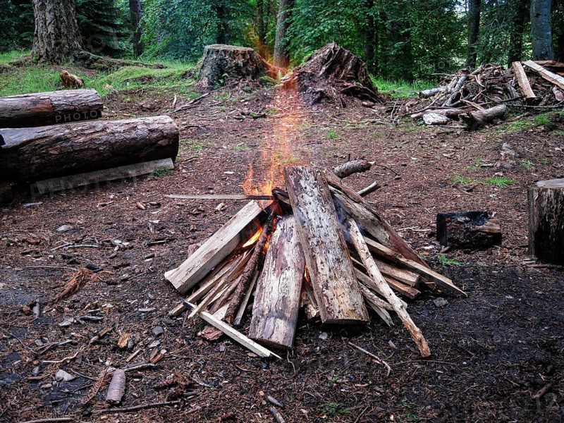 Classic campfire in the forest, piled up in pyramid shape, tree trunks, firewood on the forest floor, Scotland, Great Britain