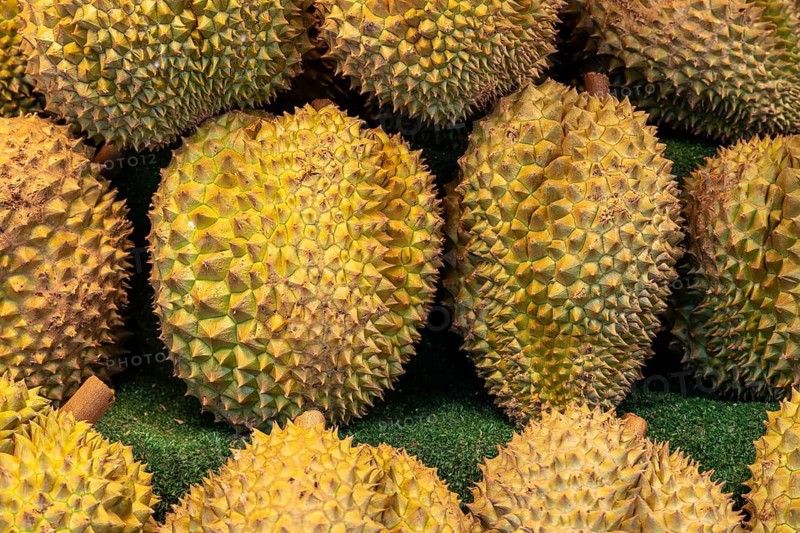 Durian fruit sales rack, Pattaya, Thailand