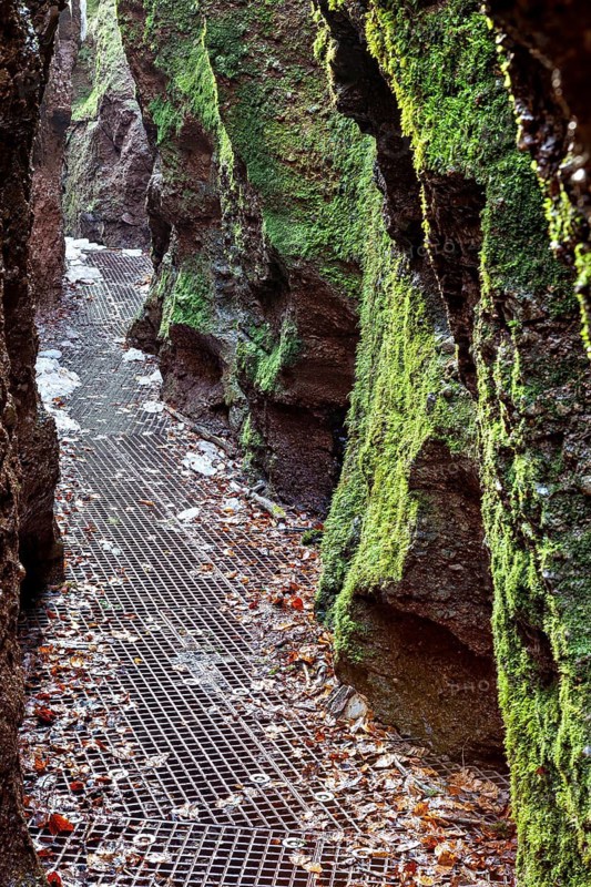 A mossy path with falling leaves stretches along a gorge and creates a rustic atmosphere, The Dragon Gorge near Eisenach in Thuringia