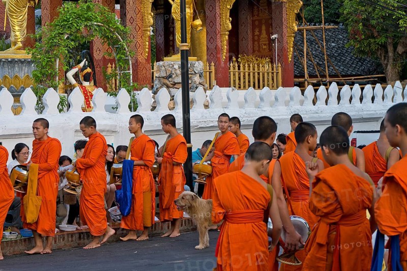 Morning alms, begging, thakbat of monks and novices of the monastery complexes in Luang Prabang, men and woman, many of them Chinese tourists, distribute food to monks, Laos, Southeast Asia