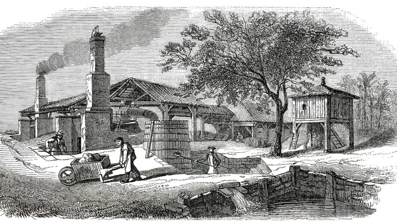 Pine resin and turpentine oil processing factory in the Les Landes region of France. In the foreground, a worker transports raw materials with a wheelbarrow, while in the background the distillation ovens with large chimneys and wooden barrels for the turpentine oil and rosin obtained can be seen. 1860, France, authentic, high-resolution reproduction from a 19th century original, exact date of presentation unknown, historical