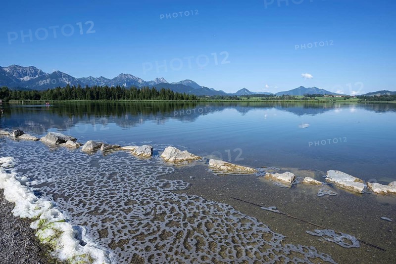 Algae foam on the shore, Hopfensee, Hopfen am See, near Füssen, Ostallgäu, Allgäu, Bavaria, Germany