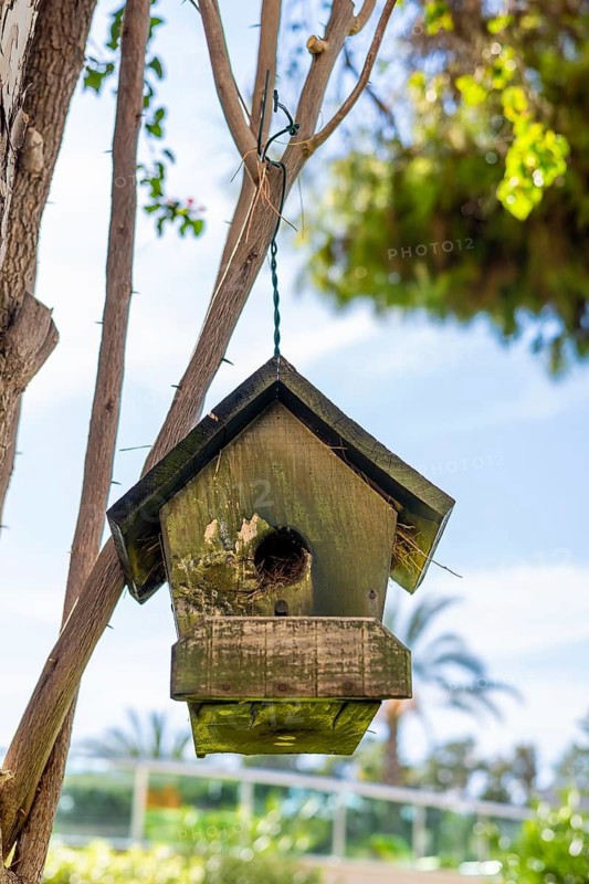 A wooden birdhouse hanging from a tree branch. The birdhouse is green with a slanted roof. The background features blue sky and green foliage