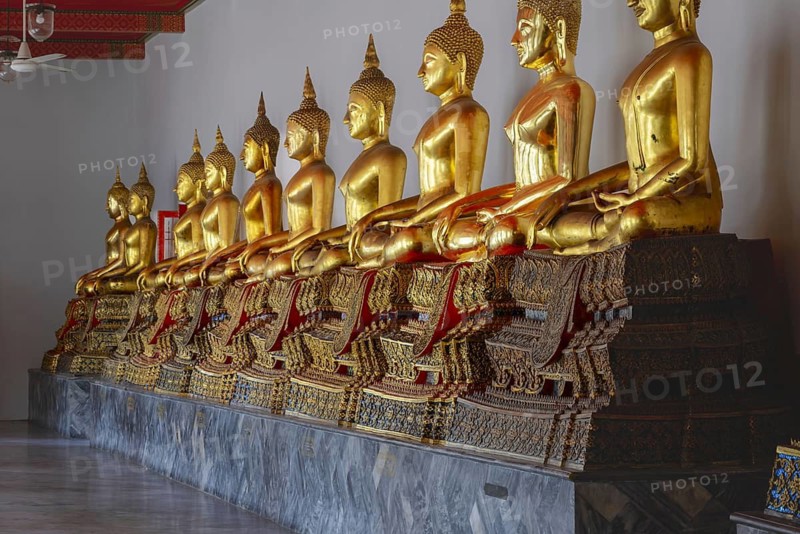 Gilded Buddha statues (Bhumispara-mudra: Gautama Buddha at the moment of enlightenment), Wat Pho, Bangkok, Thailand