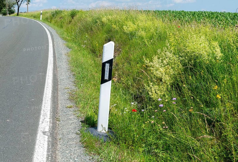 Roadside green, side green, flowering area, flower strips, ruderal surface, roadside, roadside strips