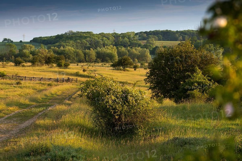 Germany, Nabu, natural heritage, Thuringia, wind knobs, cultivated landscape, landscape, landscape, nature reserve, nature reserve, nature reserve