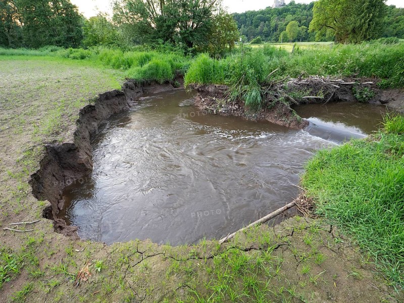 European Beaver (Castor fiber), beavers have built a dam with sticks, branches, vegetation and mud, on the river Erpe. Due to flood water, the river has cut a new river bed, around the beaver dam. These are the first sightings of beavers in this region since about 4 hundred years. North Hesse, Germany