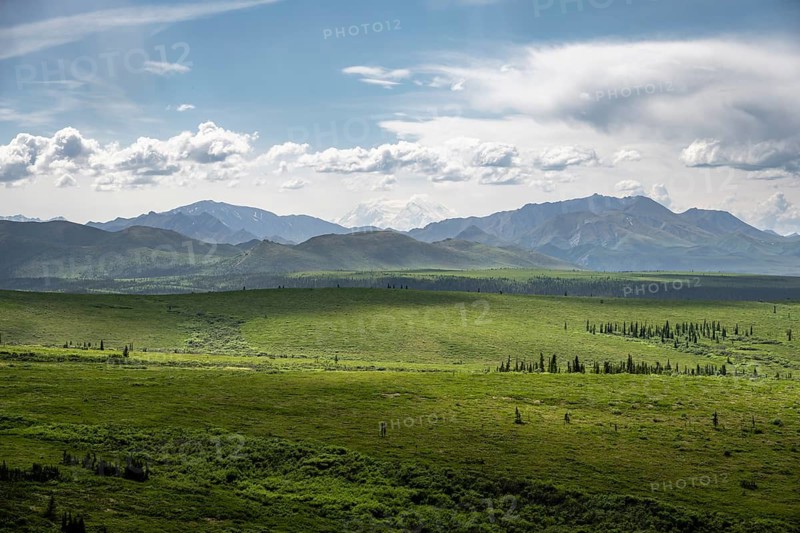 Tundra and mountain landscape with dramatic cloudy sky, Denali National Park, Alaska, USA