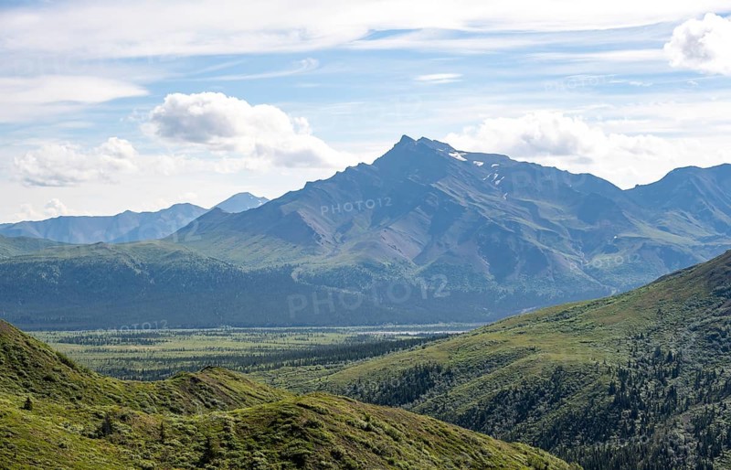 Tundra and mountainous landscape of the Alaska Range, Sable Pass, Denali National Park and Preserve, Alaska, USA