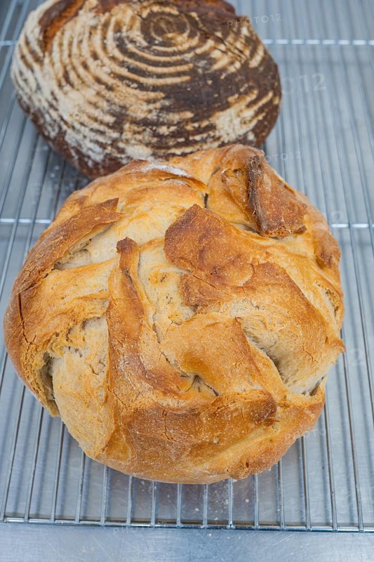 Two loaves of bread with crispy crust on a metal rack, baking bread, Haselstaller Hof, Gechingen, Calw district, Germany