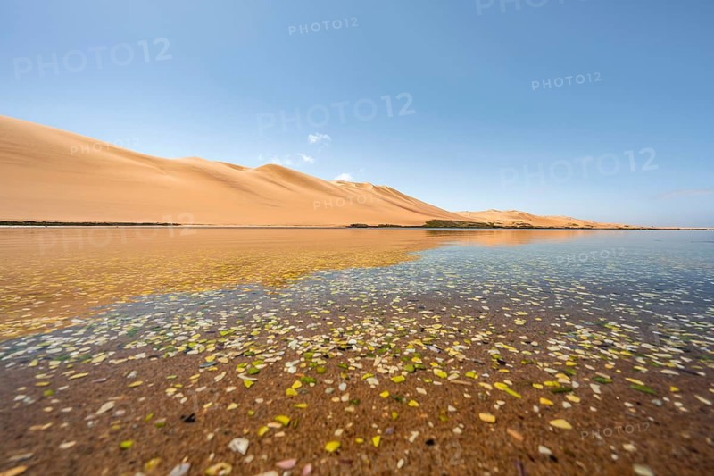Sand dunes are reflected in the lagoon at Sandwich Harbour, Namib Naukluft Park, Namib Desert, Namibia
