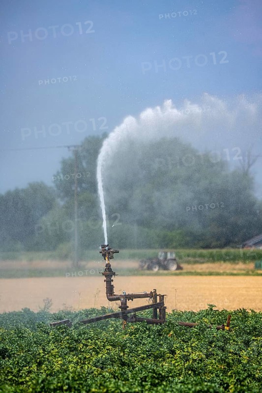 Artificial irrigation of a potato field with an irrigation system, long drought in summer makes this necessary to secure the harvest, north of Kalkar, Lower Rhine, North Rhine-Westphalia, Germany