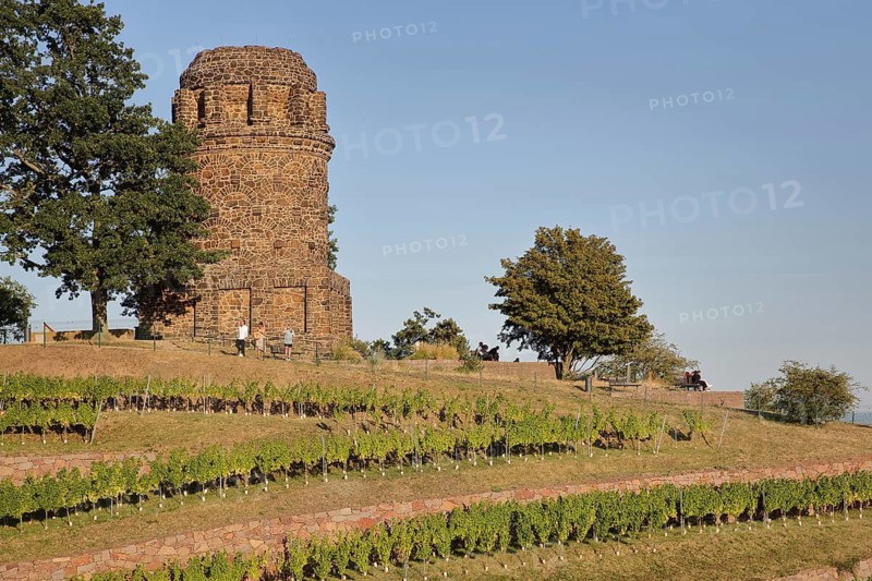 Bismarck Tower built in 1907, Historic Vineyard Landscape Radebeul, wine-growing region, vines, vineyards, landscape, Bismarck Tower, Lößnitz, Oberlößnitz, Radebeul, Saxony, Germany