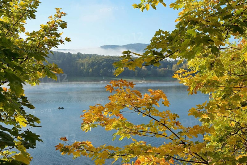Edersee, view of the lake through branches with autumn leaves, anglers in the boat, rising fog, blue sky, Eder dam, Hesse, Germany