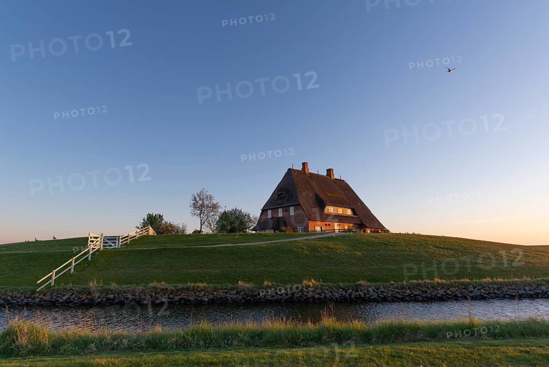Kirchwarft with pastor and church on Hallig Hooge in the Schleswig-Holstein Wadden Sea National Park, Halligen biosphere, evening mood, priel, fence, tree, North Frisia, Schleswig-Holstein, Germany