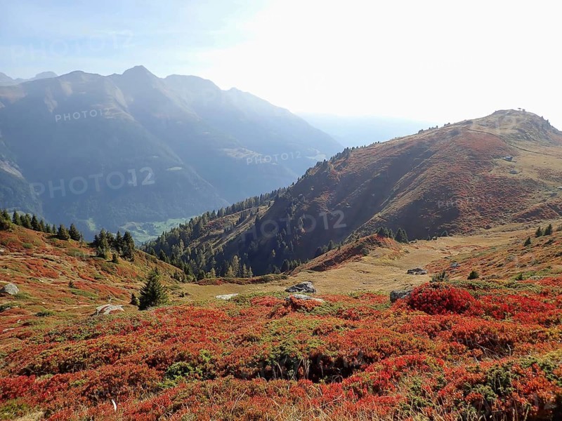 Breathtaking view from a mountain with intensive autumn vegetation, Fiescheralp, UNESCO World Heritage Site Swiss Alps Jungfrau-Aletsch, Canton of Valais, Switzerland
