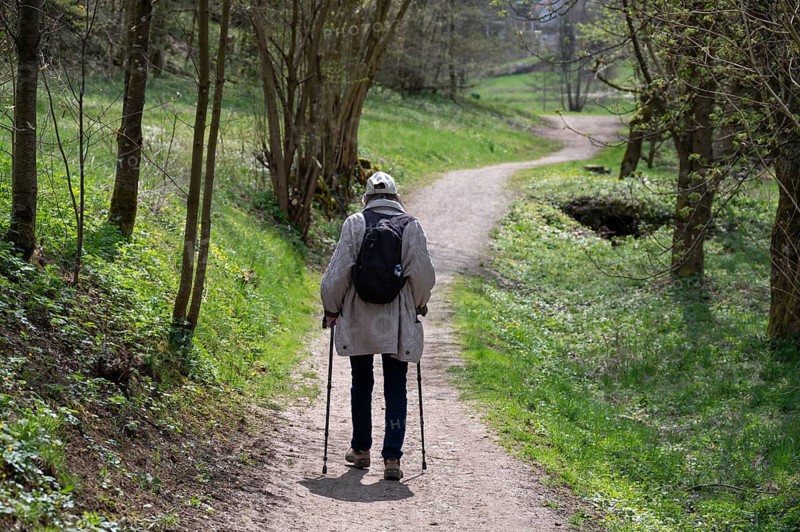 Elderly woman hiking with sticks through the Trubach Valley, Egloffstein, Upper Franconia, Bavaria, Germany