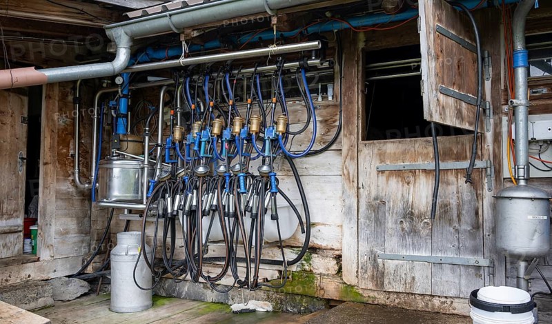 Milking machines in front of a stable in an alpine pasture, Bernese Alps, Bernese Oberland, Switzerland