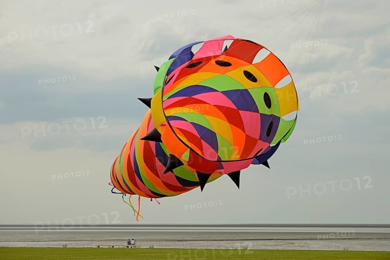Colourful kite in the air above the dragon meadow of Norddeich, North Sea, Lower Saxony, Germany
