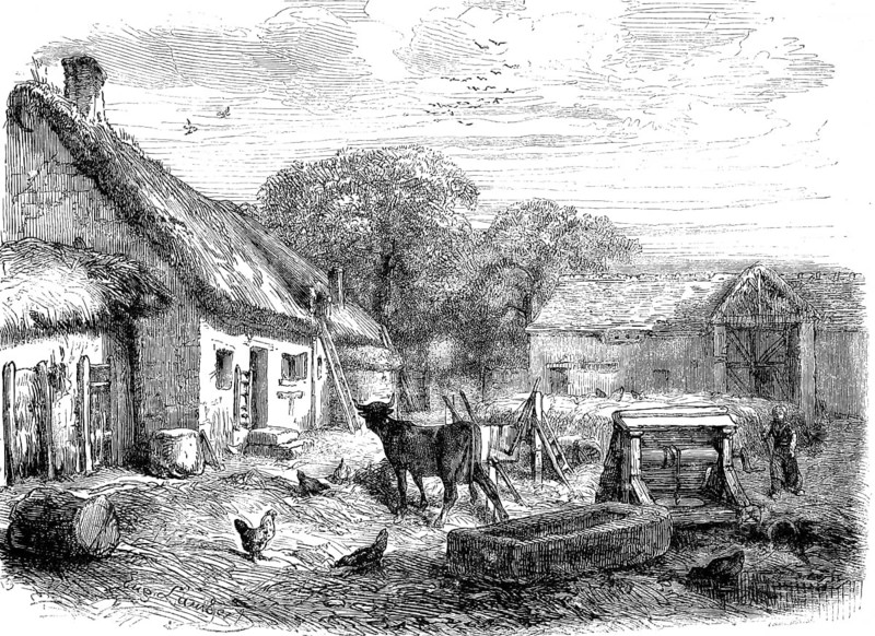 A farm in Berry, 1859. The picture shows a traditional farmhouse, used as a residence, with a typical thatched roof. In the background is a barn, recognisable by its large entrance gate beneath a gabled roof. A cow stands in the centre, whilst chickens peck at the ground in the farmyard beside it. On the right-hand side are a stone water trough (abreuvoir) and a well with a hand-operated crank. France, authentic, high-resolution reproduction of a 19th-century original, exact date of the depiction unknown, historical