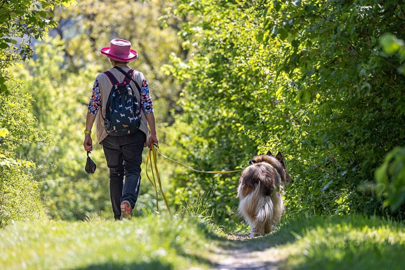 A woman with her dog wanders through the countryside of the Swabian Jura in spring. Neuffener Heide am Albtrauf. Neuffen, Baden-Württemberg, Germany