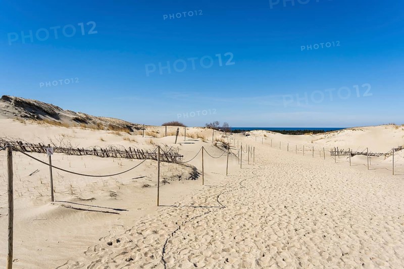The Gray Dunes, or the Dead Dunes is sandy hills with a bit of green specks at the Lithuanian side of the Curonian Spit, A sandy pathway through dunes under a clear blue sky with minimal vegetation and fencing, Curonian Spit, Neringa, Lithuania