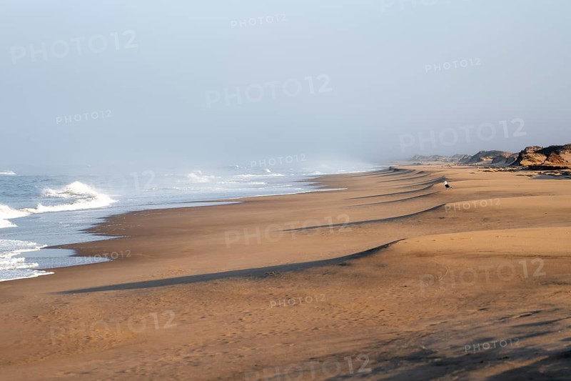 Waves burn on the Atlantic coast, sandy beach in the Namib Desert, desert landscape, Namib Naukluft Park, Namib Desert, Namibia