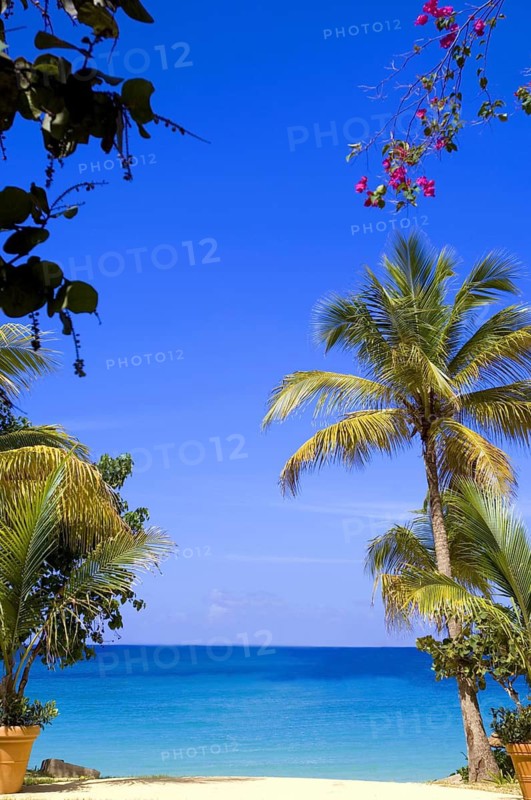 Baie Longue Long Bay beach St. Martin Caribbean, St. Maarten/Martin