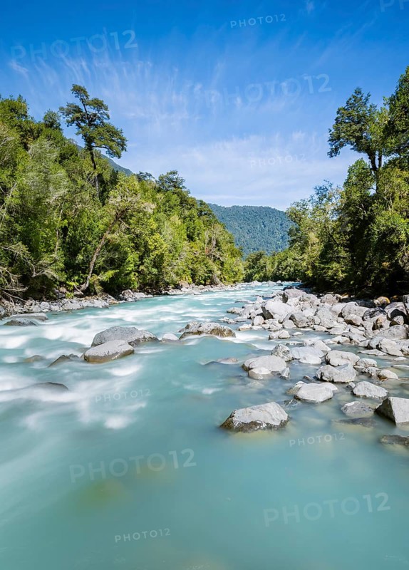 Turquoise blue Rio Blanco river flows through temperate rainforest, Valdivian or northern Patagonian rainforest, Ruta de los Parques, Hornopirén, Hualaihué, Los Lagos, Patagonia Verde, Chile