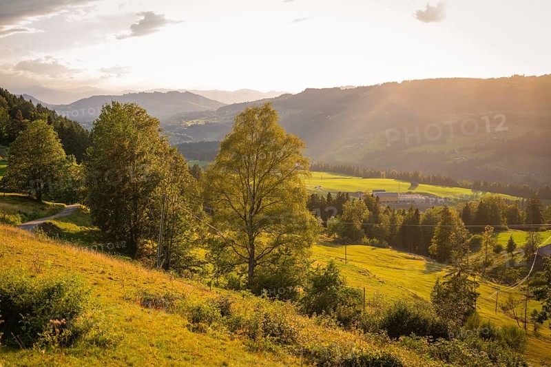 Gentle hills and forests are illuminated by the warm rays of sunshine, Oberstaufen region, Allgäu, Bavaria, Germany