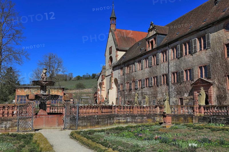 Bronnbach Abbey, Brunnbacensis Monasterium, later also Bronnbach Castle, a former Cistercian abbey founded in 1151, Tauber Valley, Reicholzheim, Main-Tauber district, Baden-Württemberg, Germany