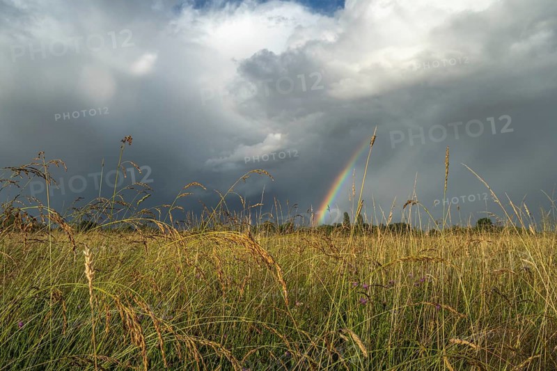 A rainbow appears in the cloudy sky over a field and bears witness to the traces of the recent storm in the countryside. Bas-Rhin, Alsace, France